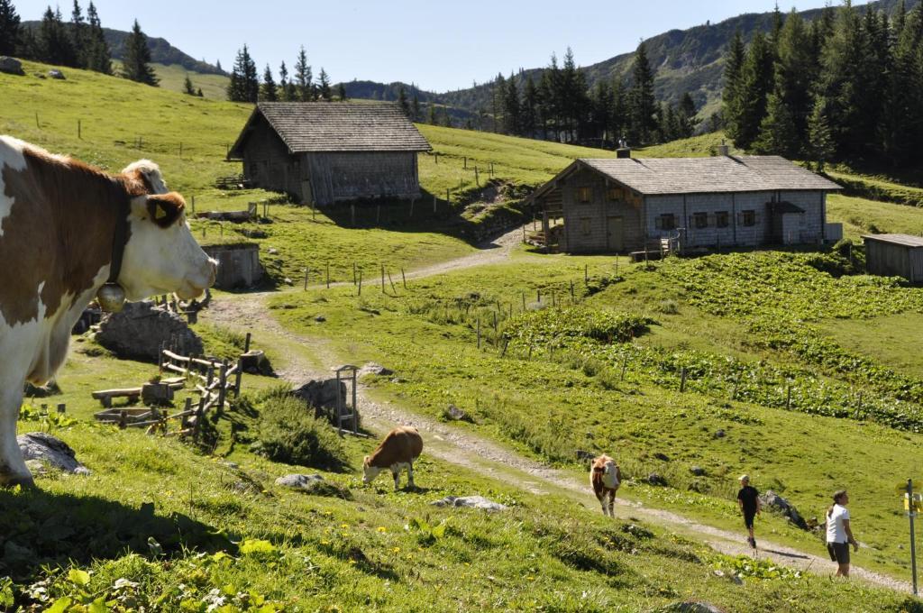 Landhaus Koller Gosau Εξωτερικό φωτογραφία