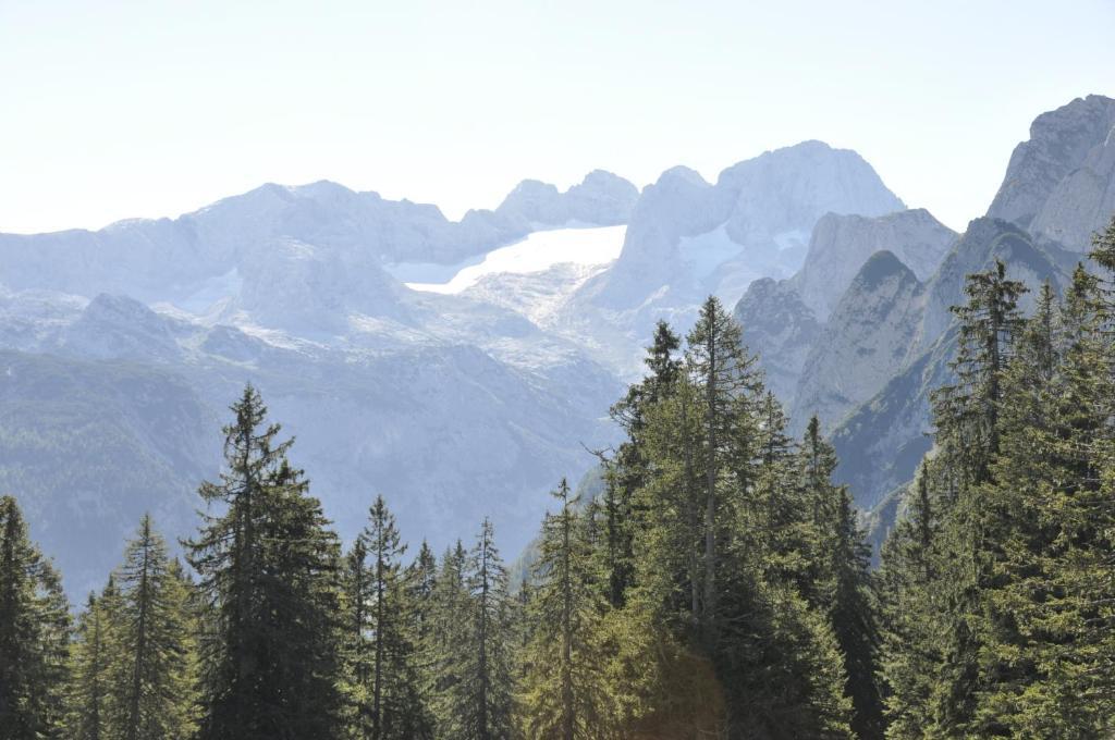 Landhaus Koller Gosau Εξωτερικό φωτογραφία